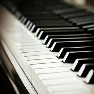 免费的黄色本子大全
